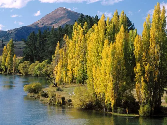 智能化创意智慧制造